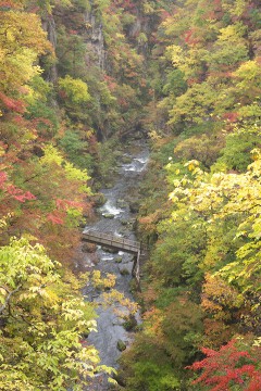大谷川と回顧橋 大谷川と回顧橋