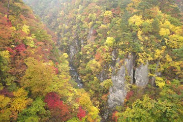 渓谷と大谷川 渓谷と大谷川