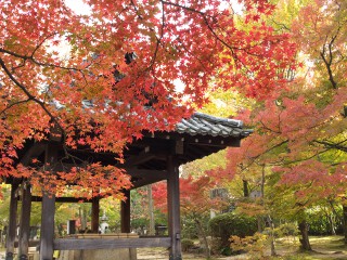 境内 真如堂 境内