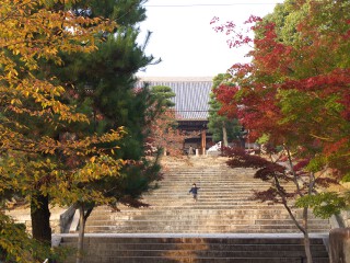 御影堂前の石段 金戒光明寺