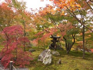 お庭 永観堂 禅林寺
