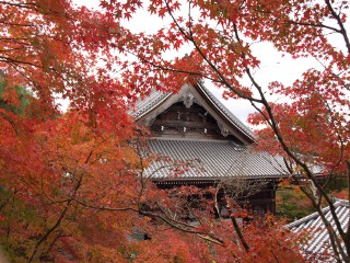 御影堂 永観堂 禅林寺