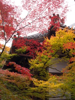 御影堂 永観堂 禅林寺