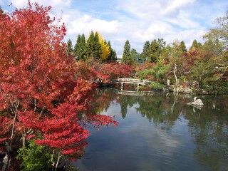 放生池 永観堂 禅林寺