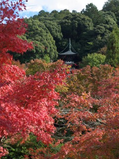 多宝塔 永観堂 禅林寺