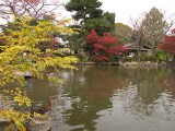 回遊式日本庭園 円山公園
