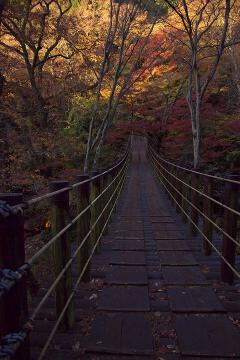 汐見滝吊り橋 花貫渓谷