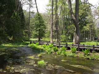 姫川源流 姫川源流