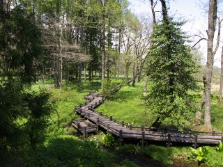 姫川源流 姫川源流