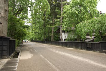 角館　武家屋敷通り