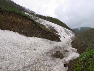 雪渓