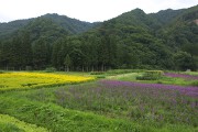 お花畑 大井沢温泉館