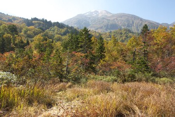 雪倉岳 雪倉岳