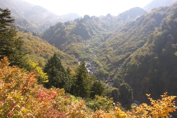展望台からの眺め 展望台からの眺め