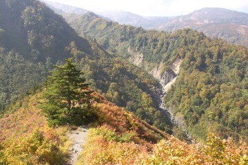 展望台からの眺め 展望台からの眺め