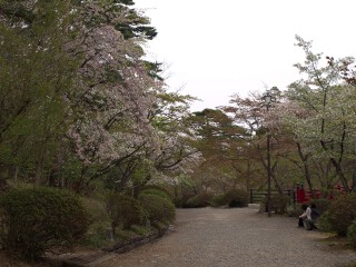 散策路 弥彦公園