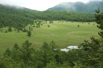 池ノ平湿原