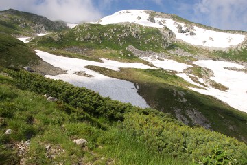登山道の右手斜面 登山道の右手斜面