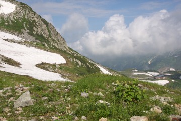 みくりが池方面 みくりが池方面