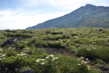 御田ヶ原 御田ヶ原