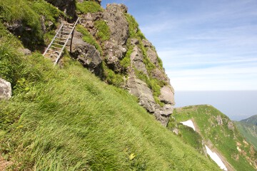 はしご 七五三掛