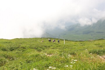 滝の小屋へ 滝の小屋へ