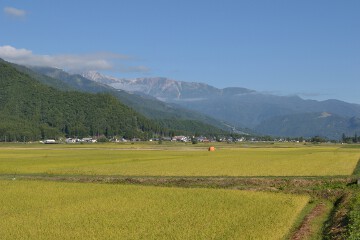 田園風景 田園風景