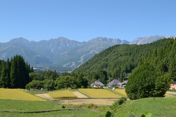 北アルプスと田んぼ 青鬼集落