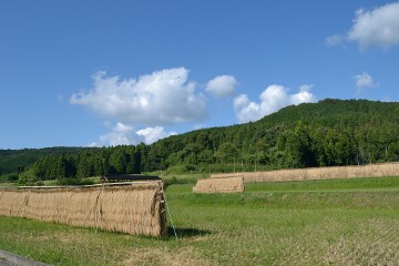 田園風景 田園風景