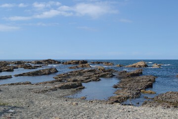 仁江海岸 仁江海岸