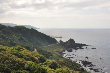 椿展望台 椿展望台