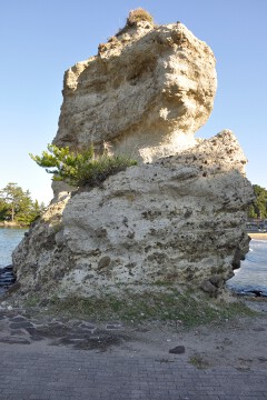 ソフトクリーム岩 ソフトクリーム岩