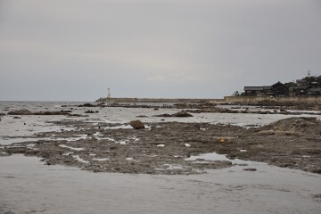 子が岬海岸 子が岬