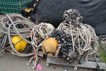 漁具 漁具