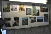 写真の展示 写真の展示