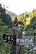 猿飛峡の案内 猿飛峡