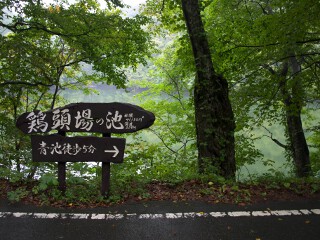 鶏頭場(けとば)の池 看板 鶏頭場の池 看板
