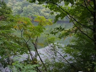 鶏頭場の池 鶏頭場の池