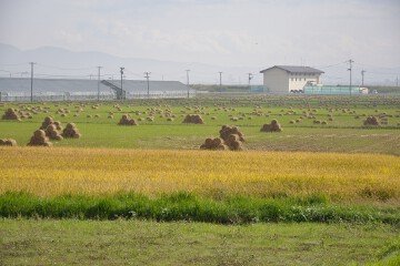 津軽平野 津軽平野
