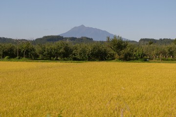 岩木山