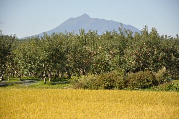 岩木山