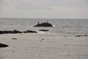 鵜ノ崎海岸 鵜ノ崎海岸