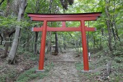 鳥居 鳥居