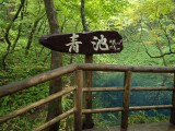 青池 看板 青池 看板