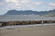 小泊岬 小泊岬