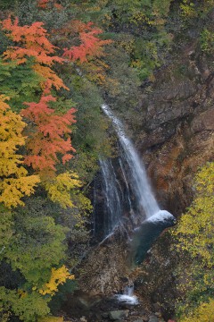 不動沢の滝 不動沢の滝
