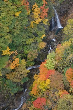 不動沢の滝 不動沢の滝