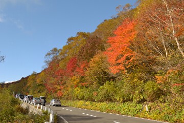 天狗の庭付近 天狗の庭