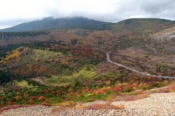 浄土平の紅葉 浄土平の紅葉