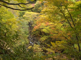 幕滝への遊歩道